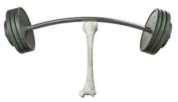 Bone lifting weights high protein calcium diet to prevent fractures