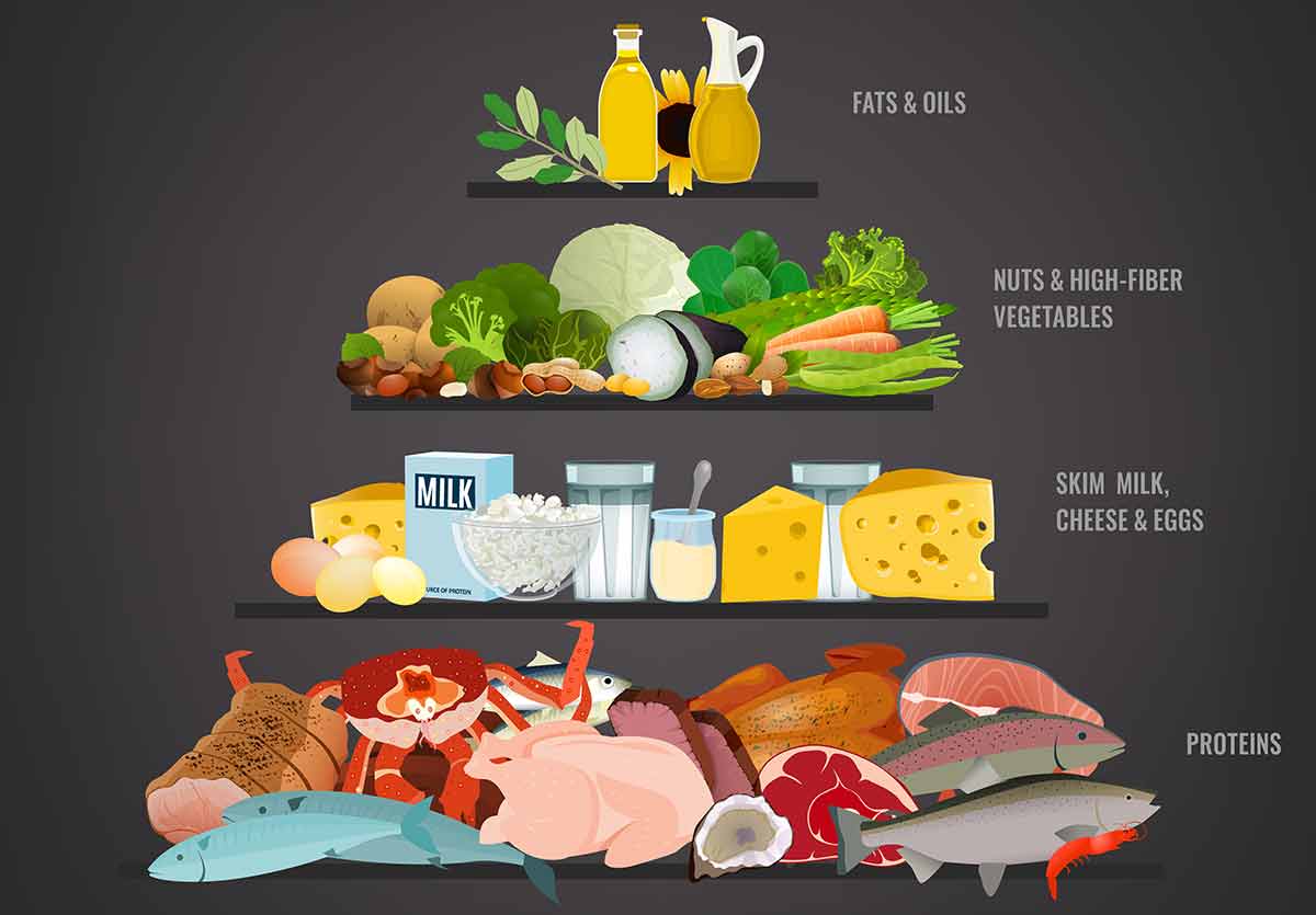 high protein diet weight loss
